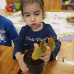 Városi Humánsegítő és Szociális Szolgálat | Anyák napja és Föld napja a Bölcsődében Városi Humánsegítő és Szociális Szolgálat | Anyák napja és Föld napja a Bölcsődében