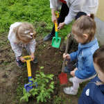 Városi Humánsegítő és Szociális Szolgálat | Madarak és fák napja a Bölcsődében Városi Humánsegítő és Szociális Szolgálat | Madarak és fák napja a Bölcsődében