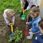 Városi Humánsegítő és Szociális Szolgálat | Madarak és fák napja a Bölcsődében Városi Humánsegítő és Szociális Szolgálat | Madarak és fák napja a Bölcsődében