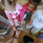 Városi Humánsegítő és Szociális Szolgálat | Madarak és fák napja a Bölcsődében Városi Humánsegítő és Szociális Szolgálat | Madarak és fák napja a Bölcsődében