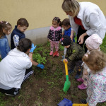 Városi Humánsegítő és Szociális Szolgálat | Madarak és fák napja a Bölcsődében Városi Humánsegítő és Szociális Szolgálat | Madarak és fák napja a Bölcsődében