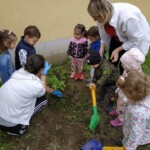 Városi Humánsegítő és Szociális Szolgálat | Madarak és fák napja a Bölcsődében Városi Humánsegítő és Szociális Szolgálat | Madarak és fák napja a Bölcsődében