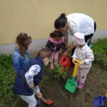 Városi Humánsegítő és Szociális Szolgálat | Madarak és fák napja a Bölcsődében Városi Humánsegítő és Szociális Szolgálat | Madarak és fák napja a Bölcsődében