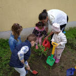 Városi Humánsegítő és Szociális Szolgálat | Madarak és fák napja a Bölcsődében Városi Humánsegítő és Szociális Szolgálat | Madarak és fák napja a Bölcsődében