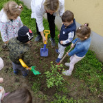 Városi Humánsegítő és Szociális Szolgálat | Madarak és fák napja a Bölcsődében Városi Humánsegítő és Szociális Szolgálat | Madarak és fák napja a Bölcsődében
