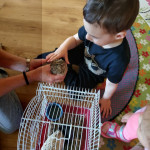 Városi Humánsegítő és Szociális Szolgálat | Madarak és fák napja a Bölcsődében Városi Humánsegítő és Szociális Szolgálat | Madarak és fák napja a Bölcsődében