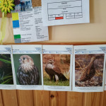 Városi Humánsegítő és Szociális Szolgálat | Madarak és fák napja a Bölcsődében Városi Humánsegítő és Szociális Szolgálat | Madarak és fák napja a Bölcsődében