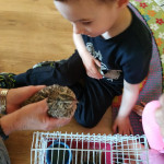 Városi Humánsegítő és Szociális Szolgálat | Madarak és fák napja a Bölcsődében Városi Humánsegítő és Szociális Szolgálat | Madarak és fák napja a Bölcsődében