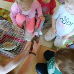 Városi Humánsegítő és Szociális Szolgálat | Madarak és fák napja a Bölcsődében Városi Humánsegítő és Szociális Szolgálat | Madarak és fák napja a Bölcsődében