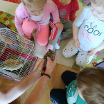 Városi Humánsegítő és Szociális Szolgálat | Madarak és fák napja a Bölcsődében Városi Humánsegítő és Szociális Szolgálat | Madarak és fák napja a Bölcsődében