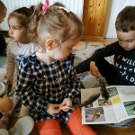 Városi Humánsegítő és Szociális Szolgálat | Madarak és fák napja a Bölcsődében Városi Humánsegítő és Szociális Szolgálat | Madarak és fák napja a Bölcsődében