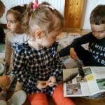 Városi Humánsegítő és Szociális Szolgálat | Madarak és fák napja a Bölcsődében Városi Humánsegítő és Szociális Szolgálat | Madarak és fák napja a Bölcsődében