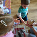 Városi Humánsegítő és Szociális Szolgálat | Madarak és fák napja a Bölcsődében Városi Humánsegítő és Szociális Szolgálat | Madarak és fák napja a Bölcsődében