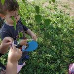 Városi Humánsegítő és Szociális Szolgálat | Madarak és fák napja a Bölcsődében Városi Humánsegítő és Szociális Szolgálat | Madarak és fák napja a Bölcsődében