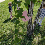 Városi Humánsegítő és Szociális Szolgálat | Madarak és fák napja a Bölcsődében Városi Humánsegítő és Szociális Szolgálat | Madarak és fák napja a Bölcsődében