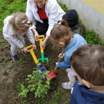 Városi Humánsegítő és Szociális Szolgálat | Madarak és fák napja a Bölcsődében Városi Humánsegítő és Szociális Szolgálat | Madarak és fák napja a Bölcsődében