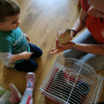 Városi Humánsegítő és Szociális Szolgálat | Madarak és fák napja a Bölcsődében Városi Humánsegítő és Szociális Szolgálat | Madarak és fák napja a Bölcsődében