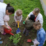 Városi Humánsegítő és Szociális Szolgálat | Madarak és fák napja a Bölcsődében Városi Humánsegítő és Szociális Szolgálat | Madarak és fák napja a Bölcsődében