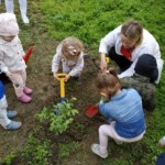 Városi Humánsegítő és Szociális Szolgálat | Madarak és fák napja a Bölcsődében Városi Humánsegítő és Szociális Szolgálat | Madarak és fák napja a Bölcsődében
