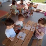 Városi Humánsegítő és Szociális Szolgálat | Galéria