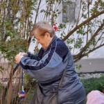 Városi Humánsegítő és Szociális Szolgálat | Galéria Városi Humánsegítő és Szociális Szolgálat | Galéria