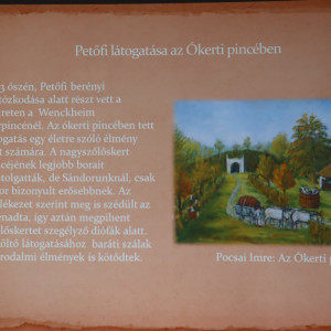 Városi Humánsegítő és Szociális Szolgálat | Galéria Egy előadáson kivetített kép.
