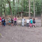 Városi Humánsegítő és Szociális Szolgálat | Napközis tábor a Családsegítőben Gyerekek állnak egy kerítésnél egy állatkertben.