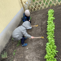Két kisfiú gereblyézik a kertben.