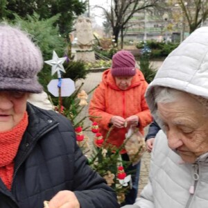 Városi Humánsegítő és Szociális Szolgálat | Galéria Idősek csoportképe egy Karácsonyfa mellett.