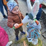Városi Humánsegítő és Szociális Szolgálat | Húsvéti készülődés a bölcsődében. Örömteli pillanat, amikor egy aranyos kendőt húzó kisgyerek megoszt egy répát egy kiöltözött kitömött nyúllal egy szabadtéri rendezvényen.
