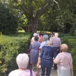 Városi Humánsegítő és Szociális Szolgálat | Galéria Menetelő turistacsoport egy ösvényen.