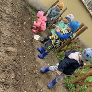 Városi Humánsegítő és Szociális Szolgálat | A Halacska csoport veteményes kertje Gyermekek kertészkednek a Bölcsőde kertjében.