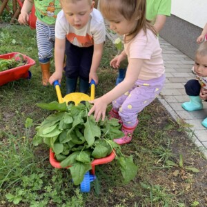 Városi Humánsegítő és Szociális Szolgálat | A Halacska csoport veteményes kertje Gyermekek kertészkednek a Bölcsőde kertjében.