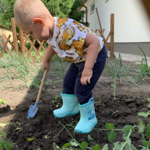 Városi Humánsegítő és Szociális Szolgálat | A Halacska csoport veteményes kertje Gyermekek kertészkednek a Bölcsőde kertjében.