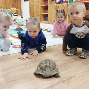 Teknőssel játszó kisgyermekek.