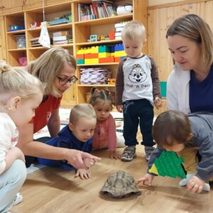Városi Humánsegítő és Szociális Szolgálat | Állatok Világnapja a bölcsődében Teknőssel játszó kisgyermekek.