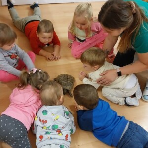 Városi Humánsegítő és Szociális Szolgálat | Állatok Világnapja a bölcsődében Teknőssel játszó kisgyermekek.