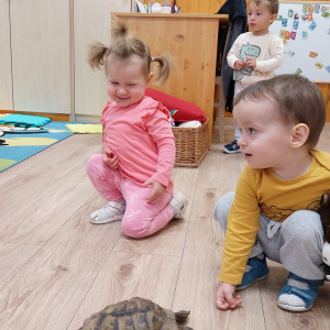 Teknőssel játszó kisgyermekek.
