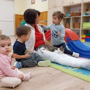 Városi Humánsegítő és Szociális Szolgálat | Állatok Világnapja a bölcsődében Cicával játszó gyermekek.