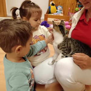 Városi Humánsegítő és Szociális Szolgálat | Állatok Világnapja a bölcsődében Cicával játszó gyermekek.